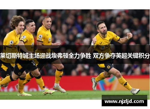 莱切斯特城主场迎战埃弗顿全力争胜 双方争夺英超关键积分